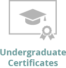 Undergraduate Certificates